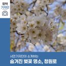 청원로 이미지