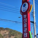 하이크린 | 청송 사과 직판매장, 청송 하이크린 사과 직판매장에서 사과 사온 후기