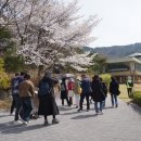 세나투스주 이미지