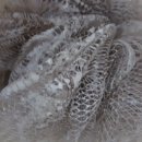 솔고헬스케어 이미지