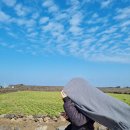 제주일상게스트하우스 이미지