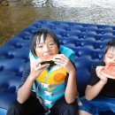 정무태권도체육관 이미지