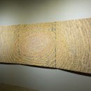 에코리움 이미지