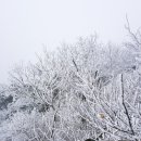 백담계곡 이미지