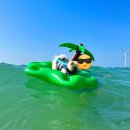 애월류가 이미지