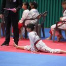 성광 태권도 이미지