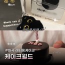 노브랜드 강서 마곡점 | 마곡 주문제작 레터링케이크 케이크월드 한입케이크 내돈내산 후기