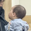 하엘푸드 이미지