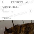 아니 - 강남구 삼성로145길 11-6 | 아니
