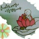 안경너머로보이는세상 이미지