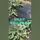 당도높은 수박 이미지