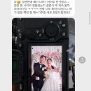 W-15 | W 15. 딥다운그린 본식 후기 (서브스냅, 더세인트 파노라마홀)