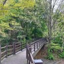 창평지 친환경 생태공원 화장실 | 창평지 친환경 생태공원, 창평저수지 둘레길, 4월 대구 군위 가볼만한 곳 추천