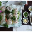 대포해송 이미지