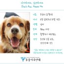 부일동물병원 이미지