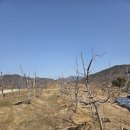 연풍농장 이미지