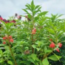 달서유치원 이미지