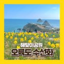 오륙도 수선화 해맞이공원 주차 대중교통 꿀팁 사진까지