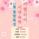 카멜리아 - 마포구 방울내로3길 41-8 | 카멜리아