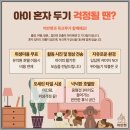 광주 강아지분양 고양이분양 어반펫 광주본점 | 광주 강아지분양 고양이분양 어반펫 광주본점에서 따뜻한 사랑을 나누세요