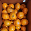 이레청과 이미지