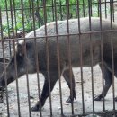 바람정원 이미지