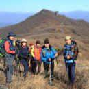 삼가로1 이미지