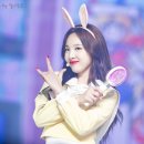 The Encore 이미지
