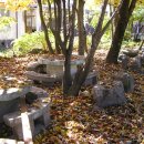 운학초등학교 이미지