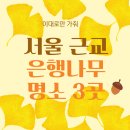 은행나무3길 | 서울 근교 늦가을 은행나무 명소｜사람 없는 단풍 스팟 3선 + 방문 팁