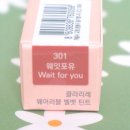 클라리레 촉촉한 벨벳틴트 여름에 좋은 안지워지는 틴트 사용 후기