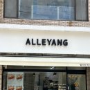 엘리앙(alleyang)