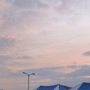 진동식당 | 2026 창원 진동 낙화 축제 다녀온 후기 (주차,먹거리 꿀팁)