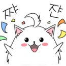 161스튜디오 이미지