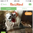 테오종합동물병원 이미지