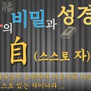 스스로 自 이미지