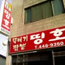 띵호 이미지