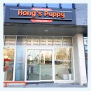 대구애견미용 홍스펫그루밍 | 대구애견분양 홍스퍼피 평생동안