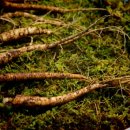 태한오토 이미지