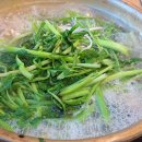 주식회사 신비로운숲 이미지