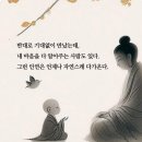 시절인연 이미지