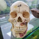 만천유치원 이미지