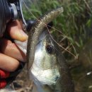 김해농협주유소 이미지