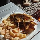 1175 | [함안캠핑] 시설 끝판왕! 나만 알고 싶은 깨끗하고 조용한 함안군 '온새미로 오토캠핑장 ' 힐링 후기