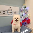 두리미용실 이미지
