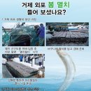 김해농협서김해주유소 Daum카페