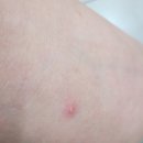 제운성형외과의원 이미지