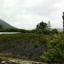 와촌농장 이미지