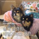 태광파크 | 기흥 애견동반 겨울 실내 캠핑 , 글램핑, 테일즈파크 캠프 방문기 ( BBQ / 주차 / 애견운동장 / 매너벨트 )