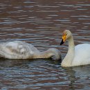 母子像(모자상) 이미지